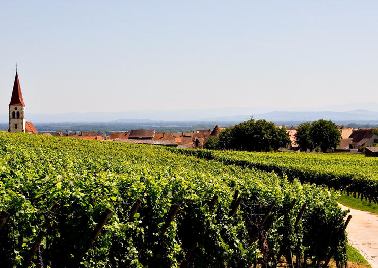 Alsace Wine Route Tours from Strasbourg