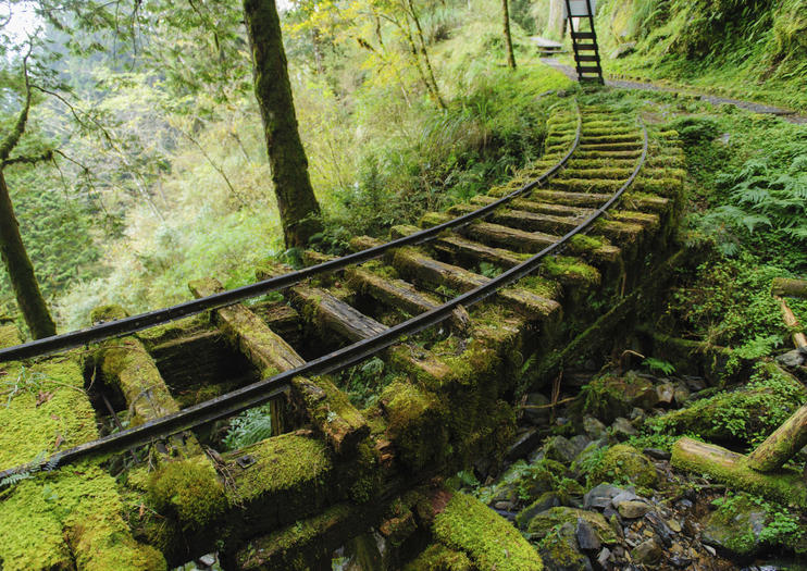 Bosque Nacional Taipingshan