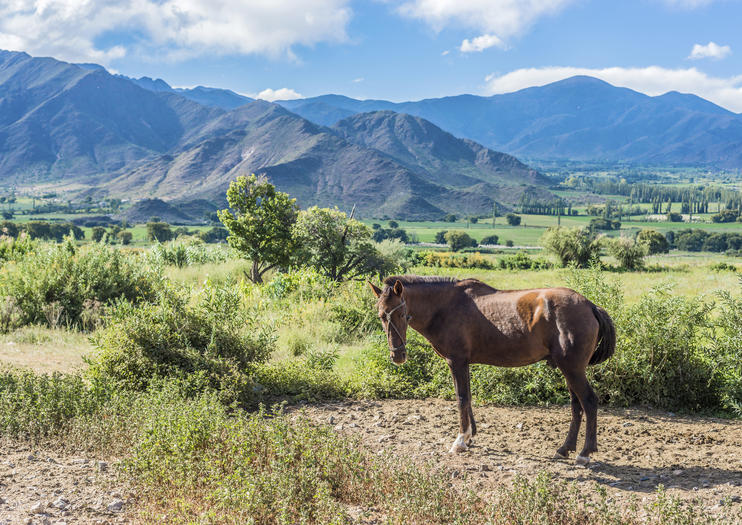Calchaqui Valley