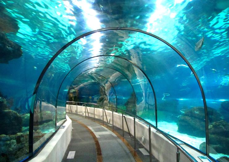 San Sebastián Aquarium
