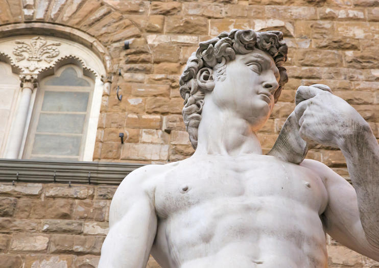 Michelangelo's Statue of David (Il Davide di Michelangelo)
