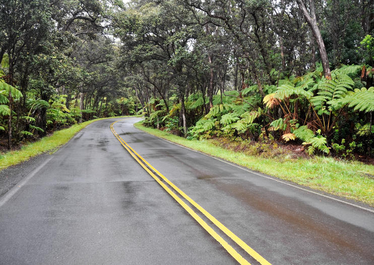 Crater Rim Drive