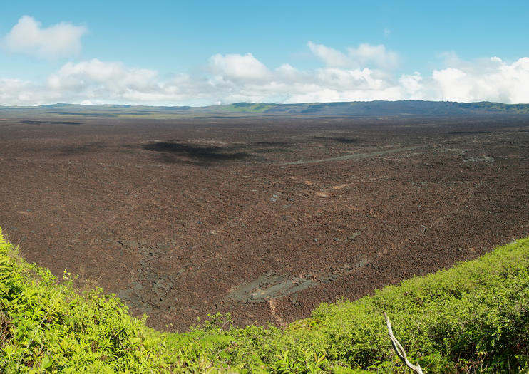 Sierra Negra Volcano