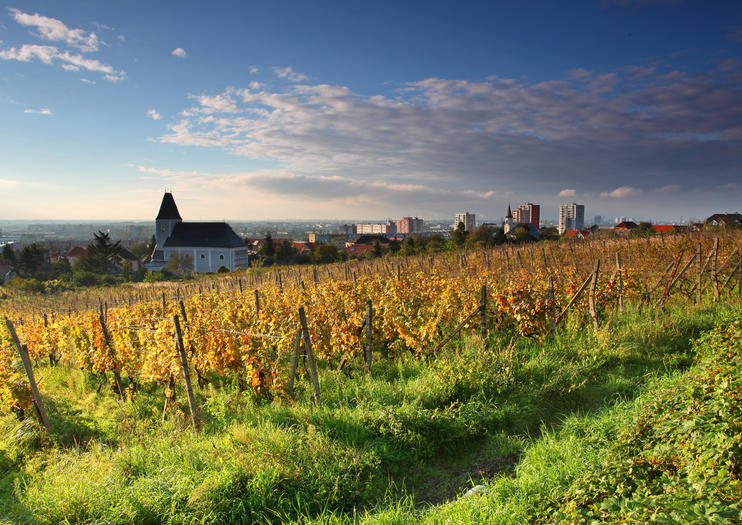 Wine Lover's Guide to Bratislava