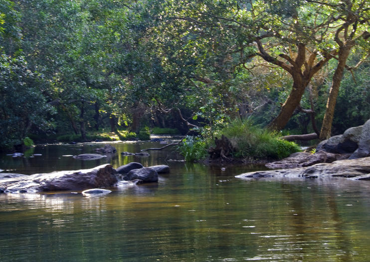 Kaveri River (Kaveri Nadi)