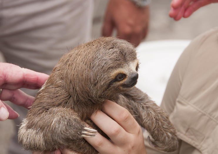 Amazon Refuge Wildlife Conservation Center