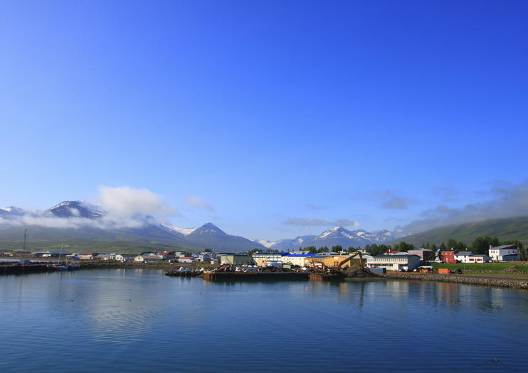 Dalvik