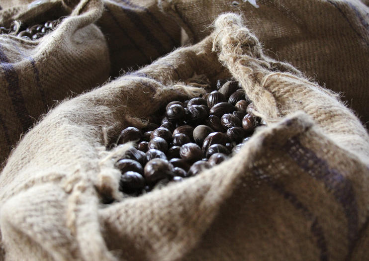 De La Grenade Nutmeg Garden