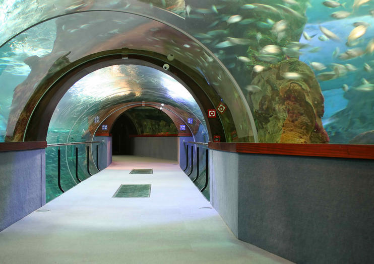 Valencia Oceanografic (L'Oceanogràfic)