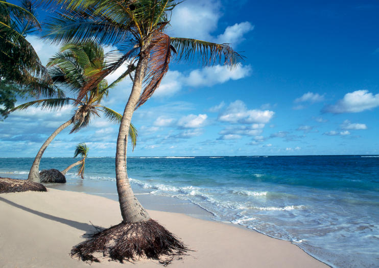 Key Paradise