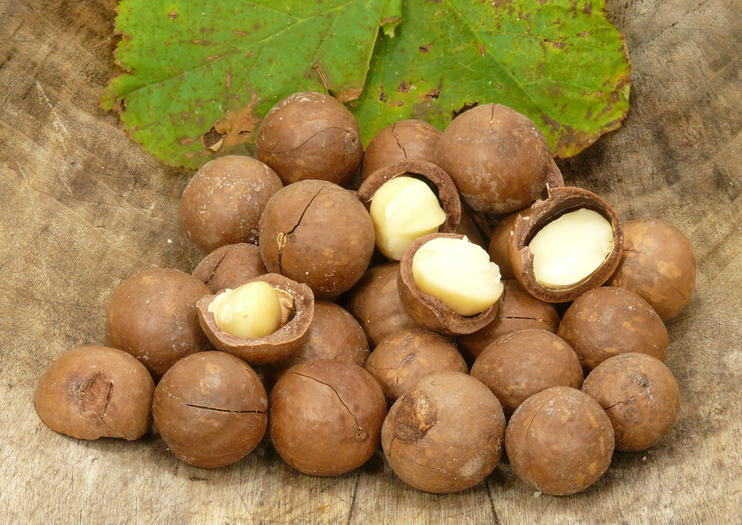 Mauna Loa Macadamia Nut Factory