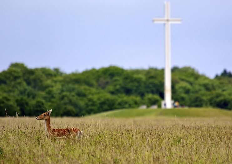 The 10 Best Dublin Phoenix Park Tours & Tickets 2020 | Viator