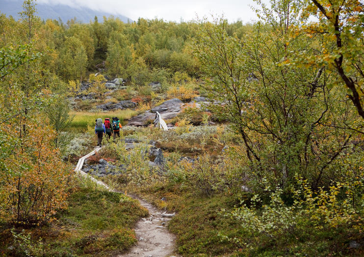 Pyhä-Luosto National Park
