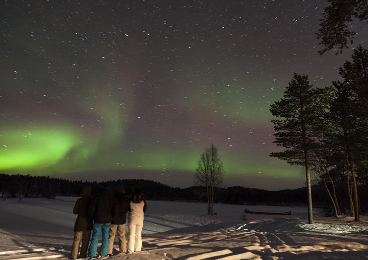 The 5 Best Inari-Saariselkä Tours & Tickets 2020 - Lapland | Viator