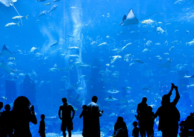 Planet Ocean Montpellier