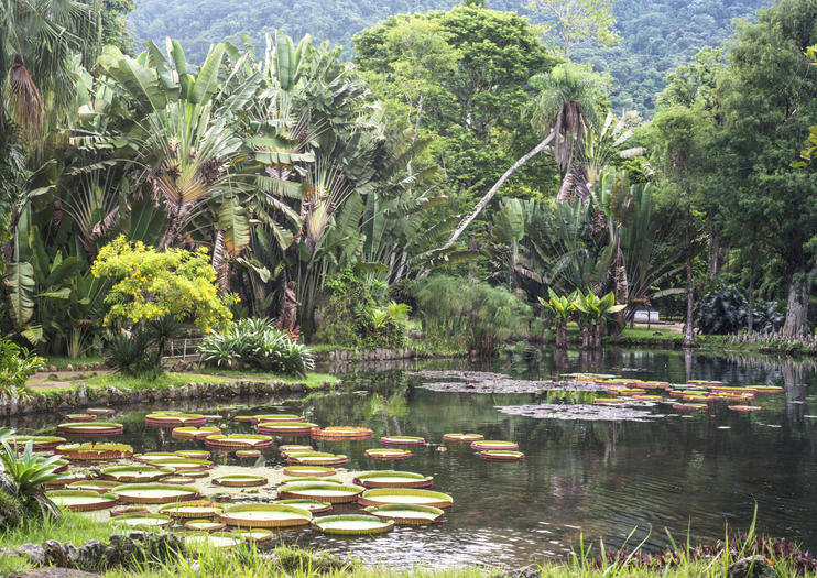 January Ecological Park