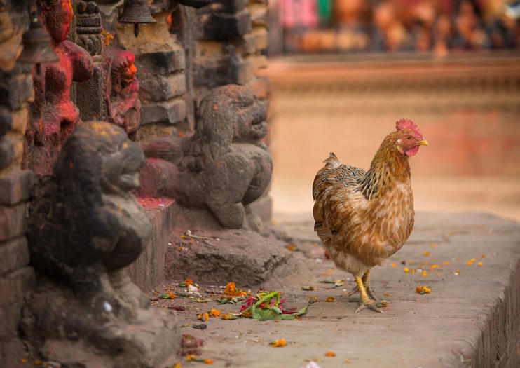 Chobhar Village