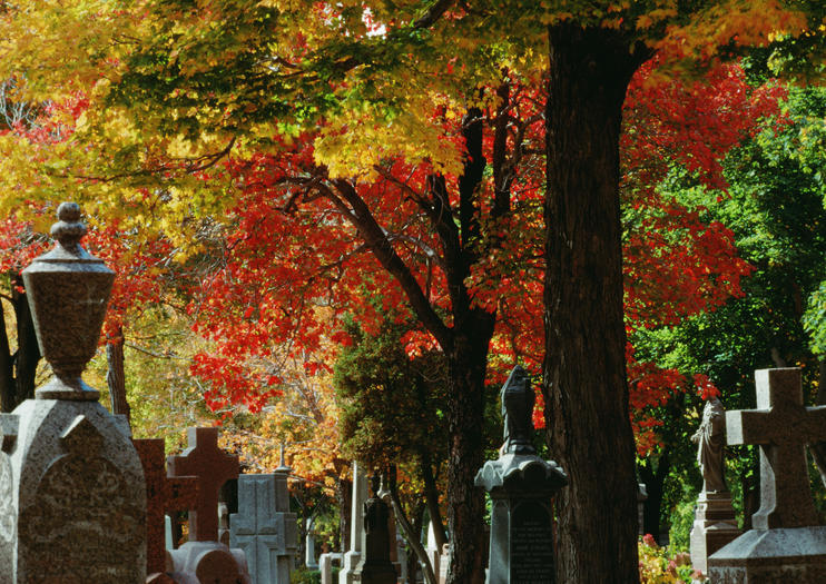 Mount Royal Cemetery (Cimetière Mont-Royal)
