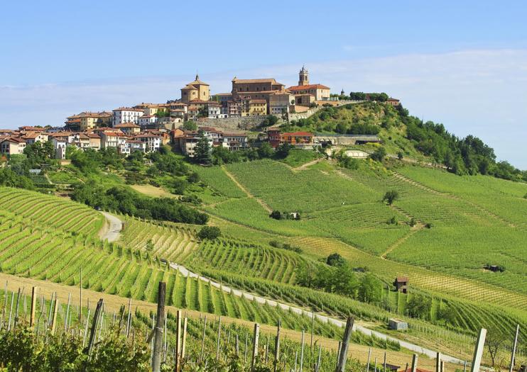 The Best Barolo Tours & Tickets 2021 - Piedmont & Liguria | Viator