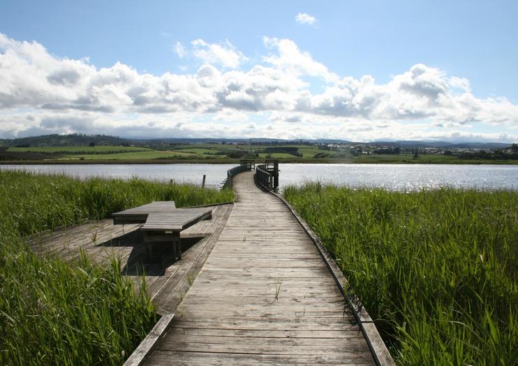 Tamar Island Wetlands