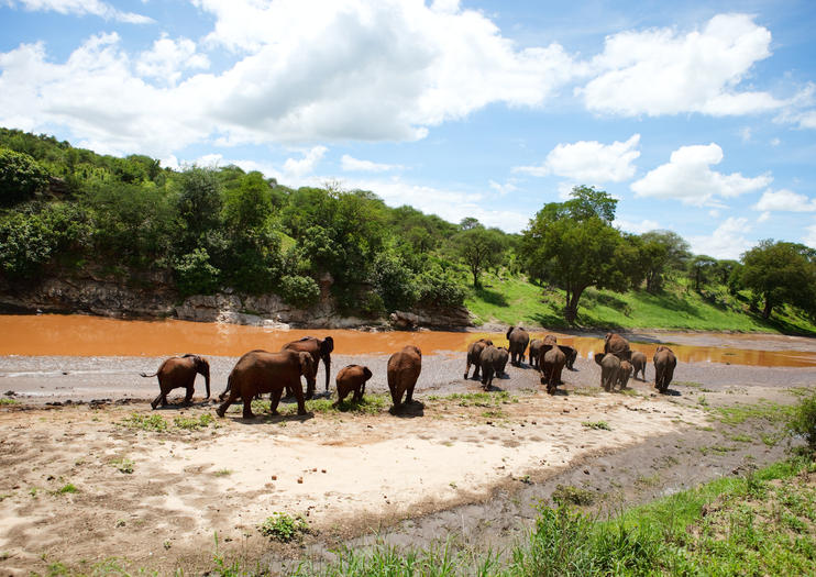 Tarangire National Park