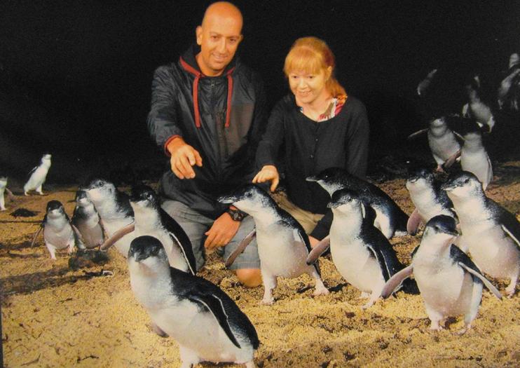 Penguin Parade