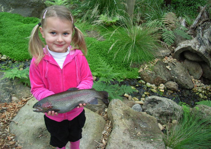 Rhyll Trout and Bush Tucker Farm