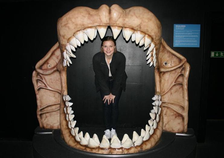 Universeum