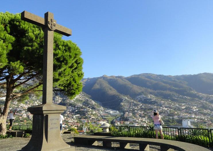 Pico dos Barcelos Viewpoint (Miradouro Pico dos Barcelos)