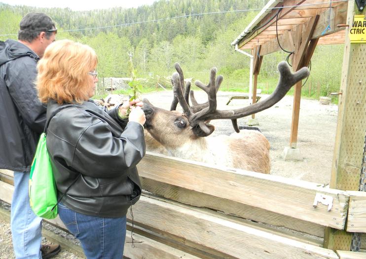Alaska Rainforest Sanctuary