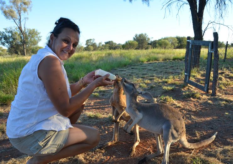 Kangaroo Sanctuary