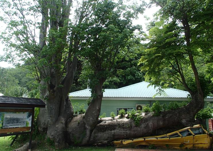 Dominica Botanic Gardens
