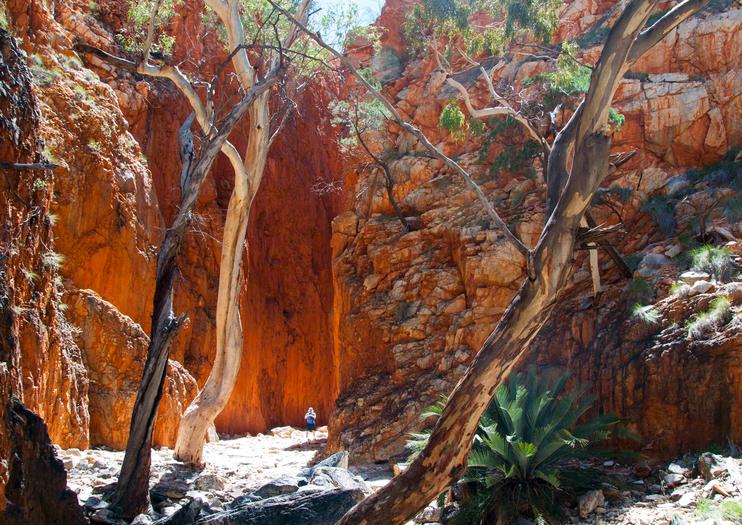 Standley Chasm (Angkerle Atwatye)