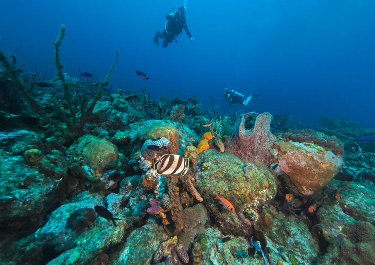 Cades Reef