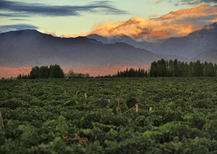 Uco Valley
