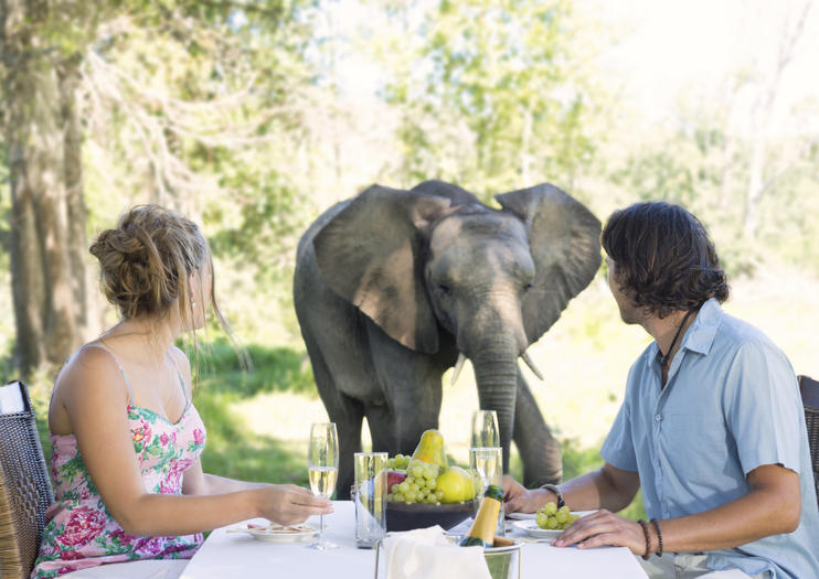 3 Days On The Garden Route Suggested Itineraries 2019 Travel