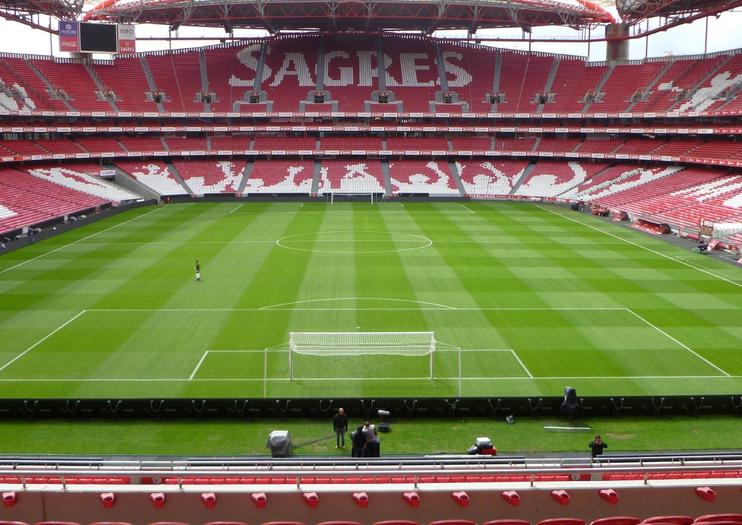 The Best Estádio da Luz Tours & Tickets 2021 - Lisbon | Viator