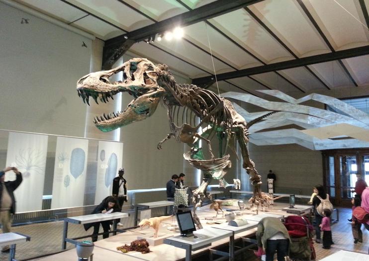 Royal Belgian Institute of Natural Sciences