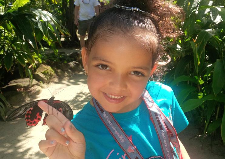 The Butterfly Farm