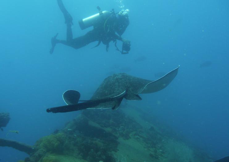 SS Yongala Dive Site