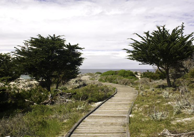 Asilomar State Beach