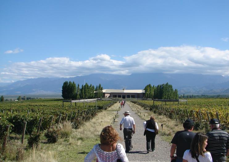 Bodegas Salentein