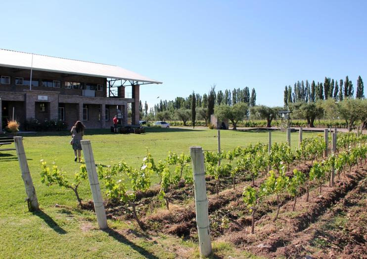 Achaval-Ferrer Winery
