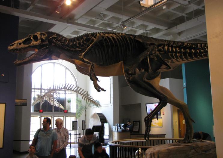 balboa park dinosaur museum