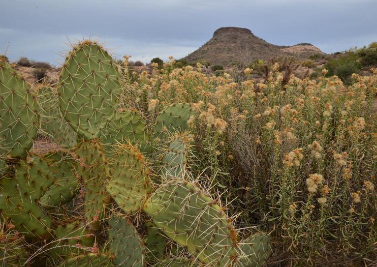 McDowell Sonoran Preserve