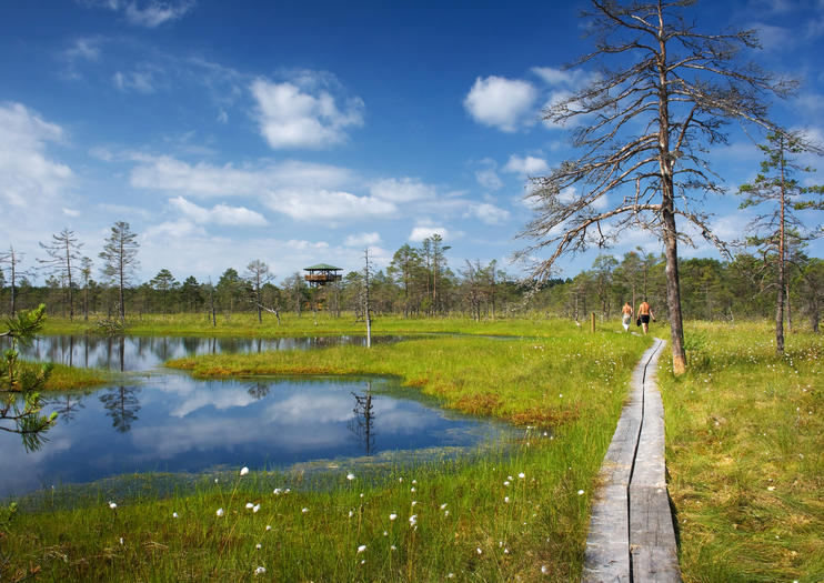 The Best Lahemaa National Park (Lahemaa Rahvuspark) Tours & Tickets ...