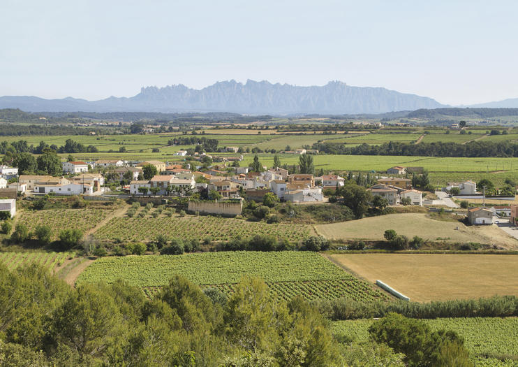 Penedes