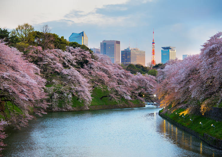 Les Meilleures Parc de Kitanomaru Tours et Excursions - 2021