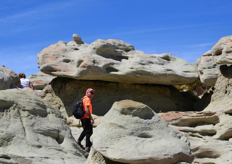 La Leona Petrified Forest