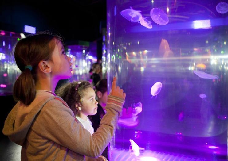 Aquarium SEA LIFE® Paris Val D'Europe